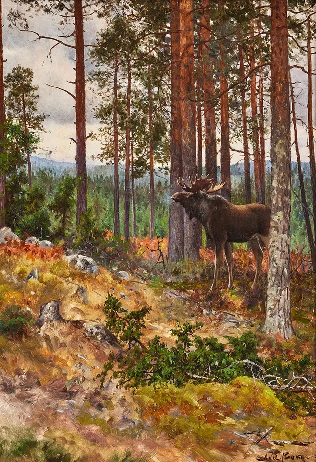 AXEL BORG. Älgtjur - motiv från Kilsbergen, olja på duk, 64 x 46 cm.