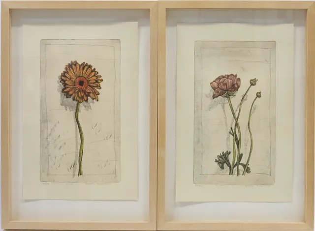 KARIN BENGTSSON. GERBERA OCH RANUNKEL, FÄRGETSNINGAR, TVÅ STYCKEN.