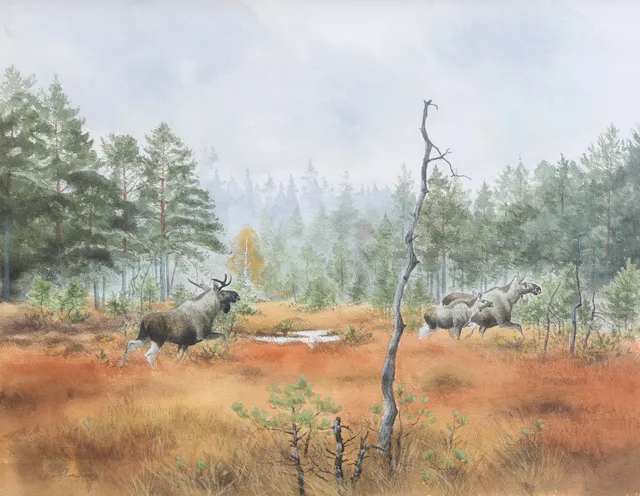 ROLF SVENSSON. Akvarell.