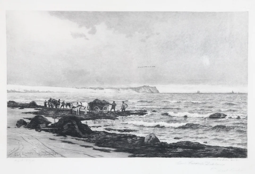 Carl Locher. 'Winter day at Hornbæk Strand' — Paintings and sculptures/Prints and photography — Lauritz