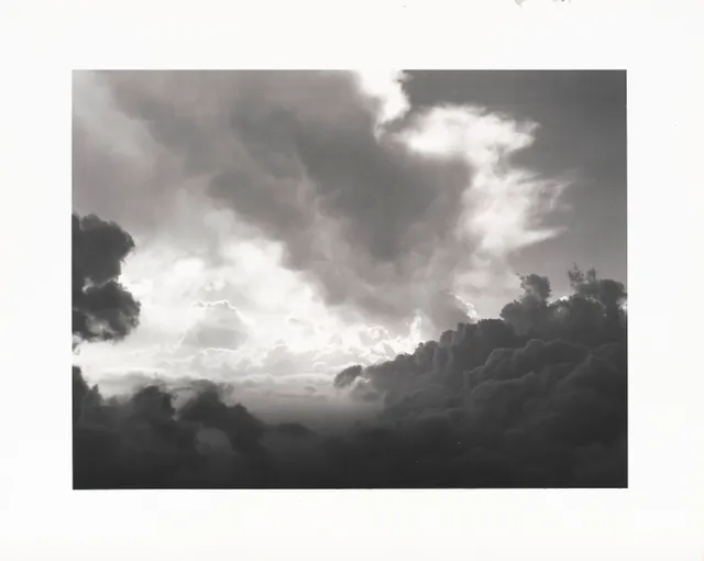 Sandberg, Tom — Uten tittel, 2009