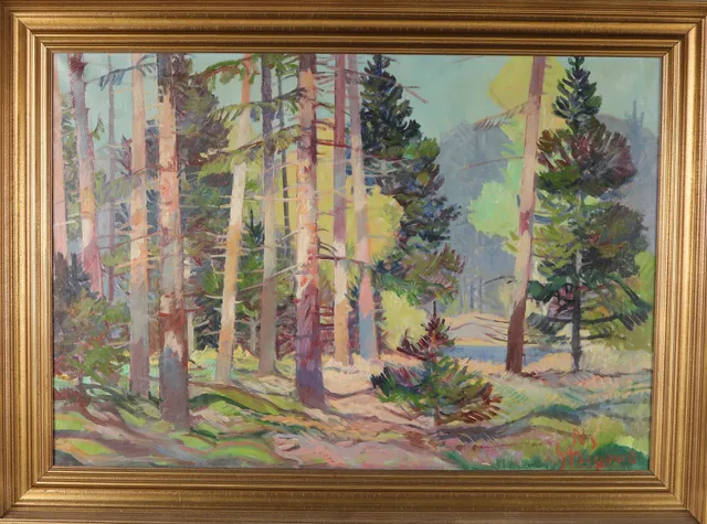Nis Stougaard. Forest area.