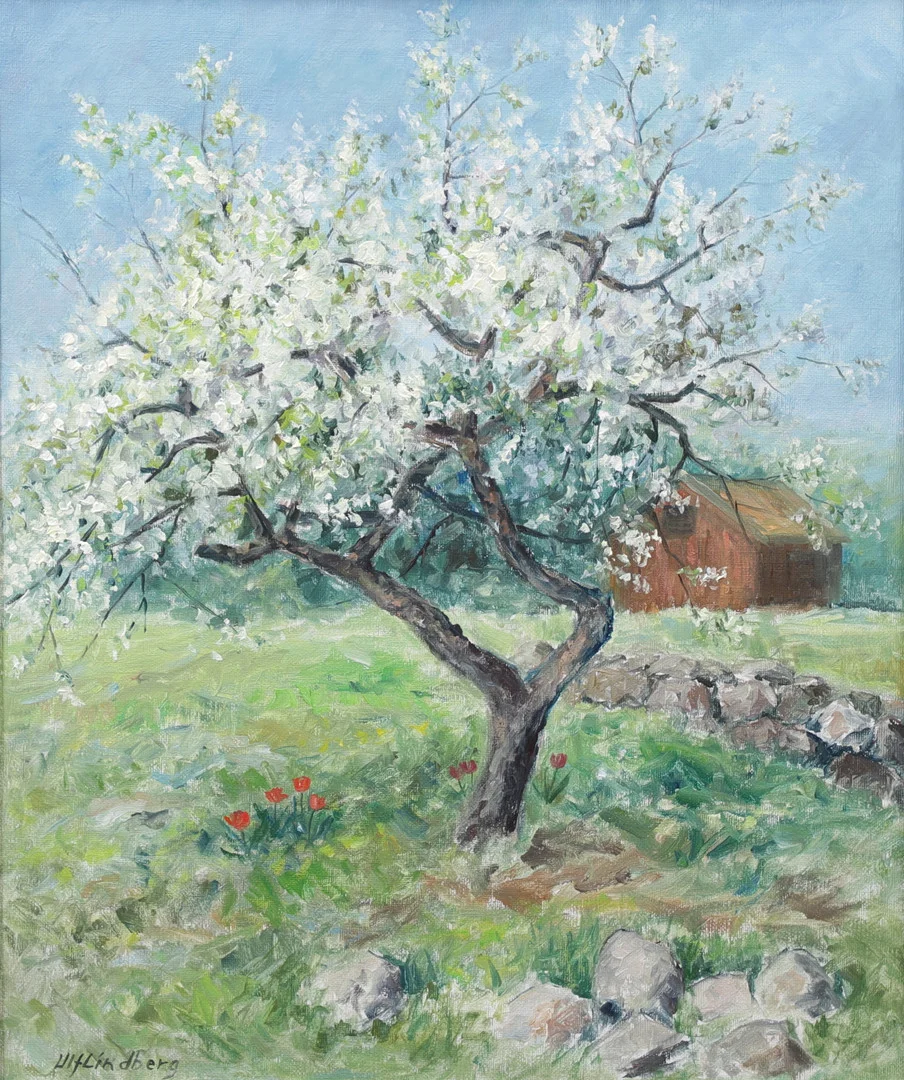 ULF LINDBERG. Olja på duk, "Blommande fruktträd", signerad. — Paintings — Växjö Auktionskammare