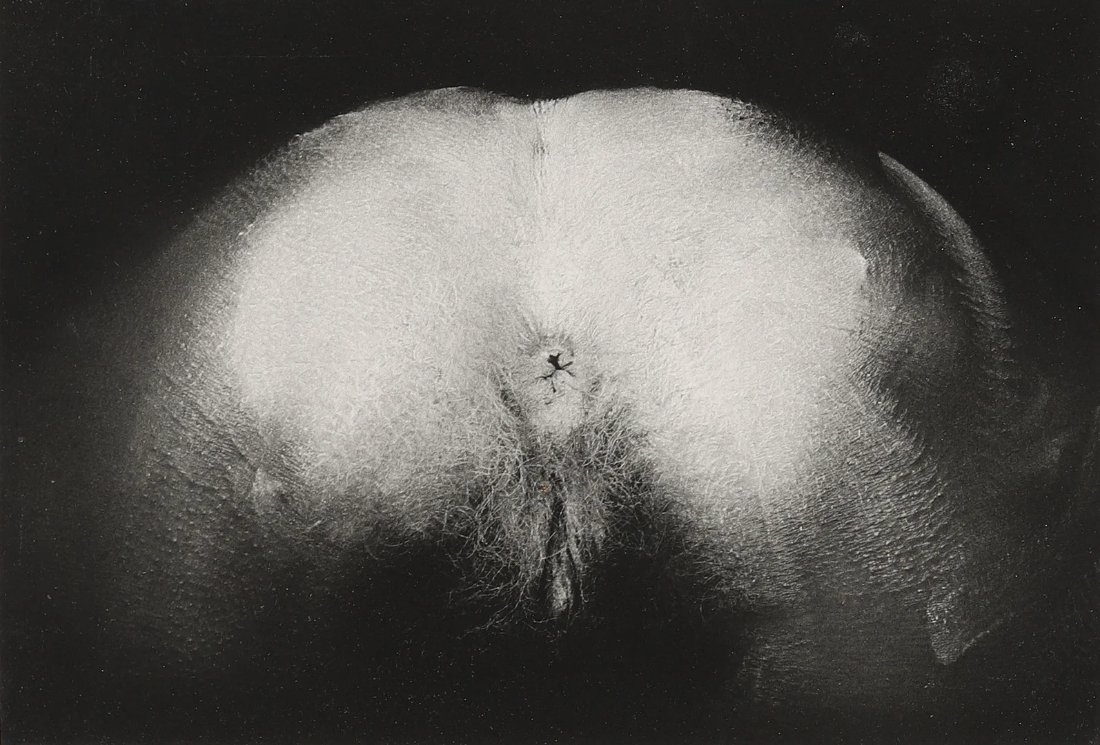 CHRISTER STRÖMHOLM. Kroppslandskap, silvergelatinfotografi, a tergo signerat. — Photography — Crafoord Auktioner Malmö