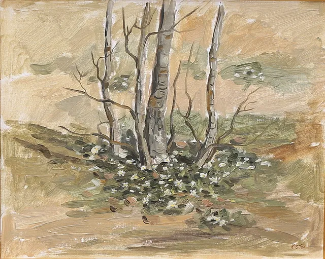 KENNETH SJÖÖ. Blommande vitsippor, olja på duk, signerad.