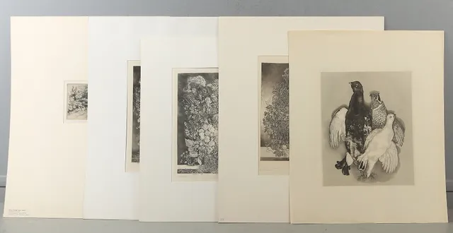 STIG BORGLIND. Etsningar, 5 st, bla "Kvarnbäcken" och "Döda Fåglar" och "Flora Suecia", signerade.