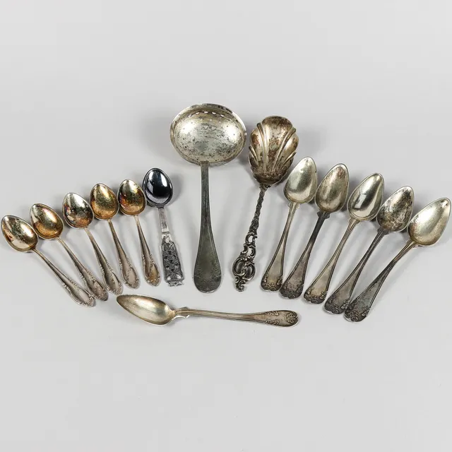 SKEDAR SILVER.