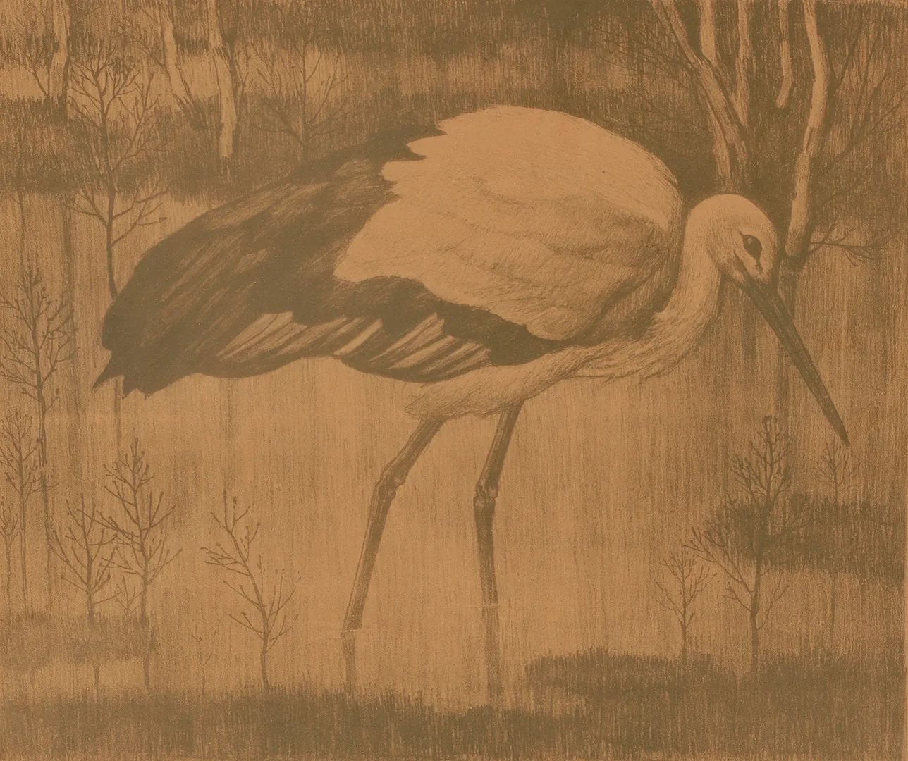 ERNST NORLIND. Stork, litografi, signerad. — Engravings & Prints — Helsingborgs Auktionskammare