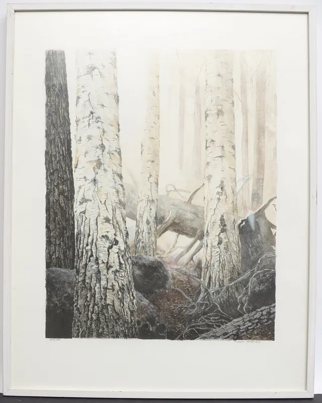 MIKAEL KIHLMAN. Skogsbild, färglitografi, signerad och numrerad.