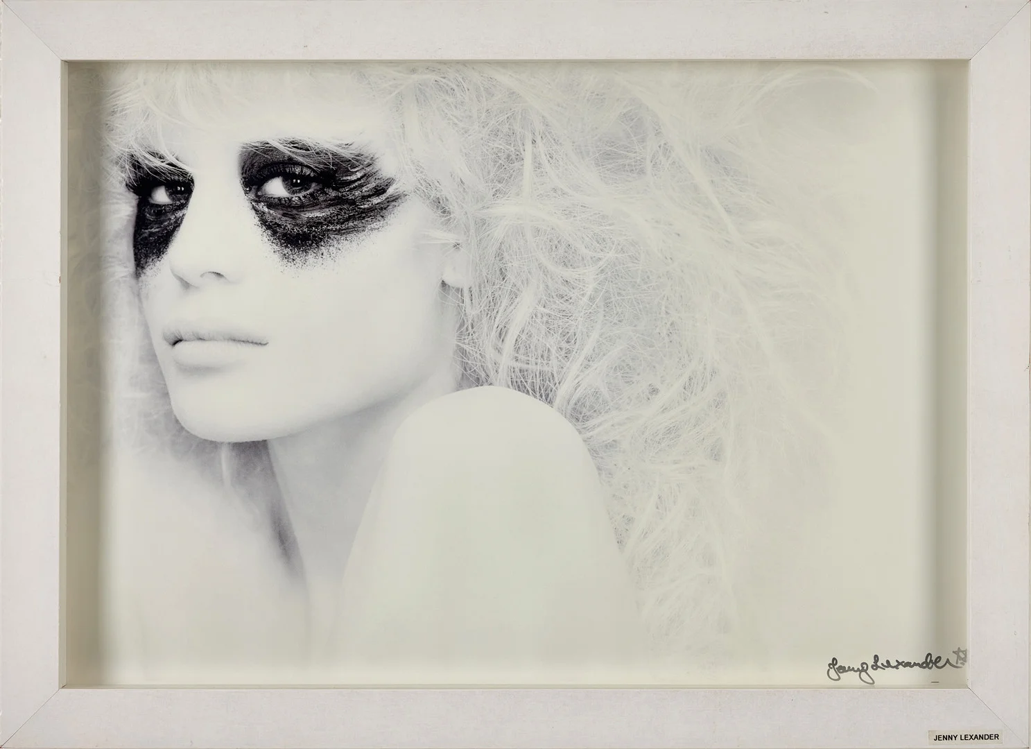 JENNY LEXANDER. Utan titel, pigment print, 47 x 63 cm. — Photography — Stockholms Auktionsverk Fine Art