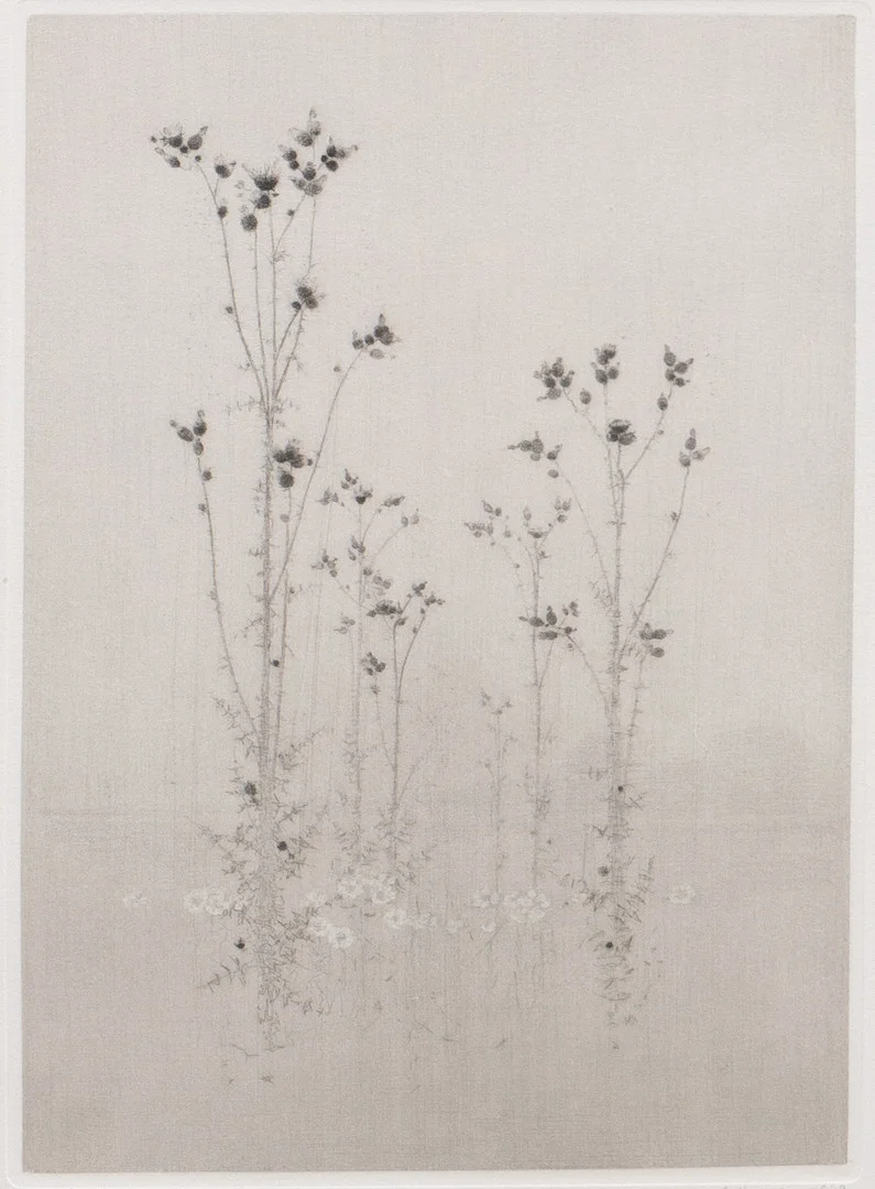 GUNNAR NORRMAN. "Kärräng", torrnål, signerad, numrerad 10/15, daterad 1969. — Engravings & Prints — Garpenhus Auktioner