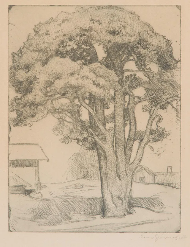 Eero Järnefelt, "Tallen från Tomasby I".