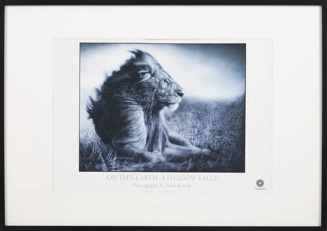 NICK BRANDT. Grafiskt tryck, Fotografiska, 2012.