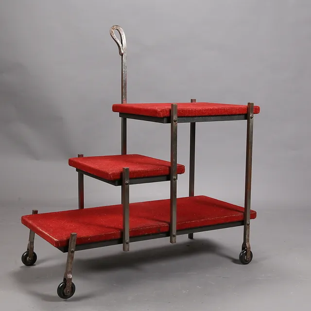 PERE COSP. Library ladder.