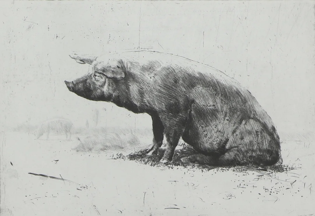 LENNART OLAUSSON. Torrnålsgravyr, "Solande gris", signerad och daterad 86, numrerad 30/50 E.T. — Engravings & Prints — Ekenbergs Auktioner