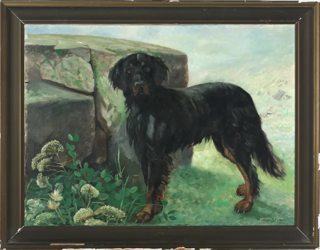 Gran, Halfdan — En fin gordonsetter, 1902