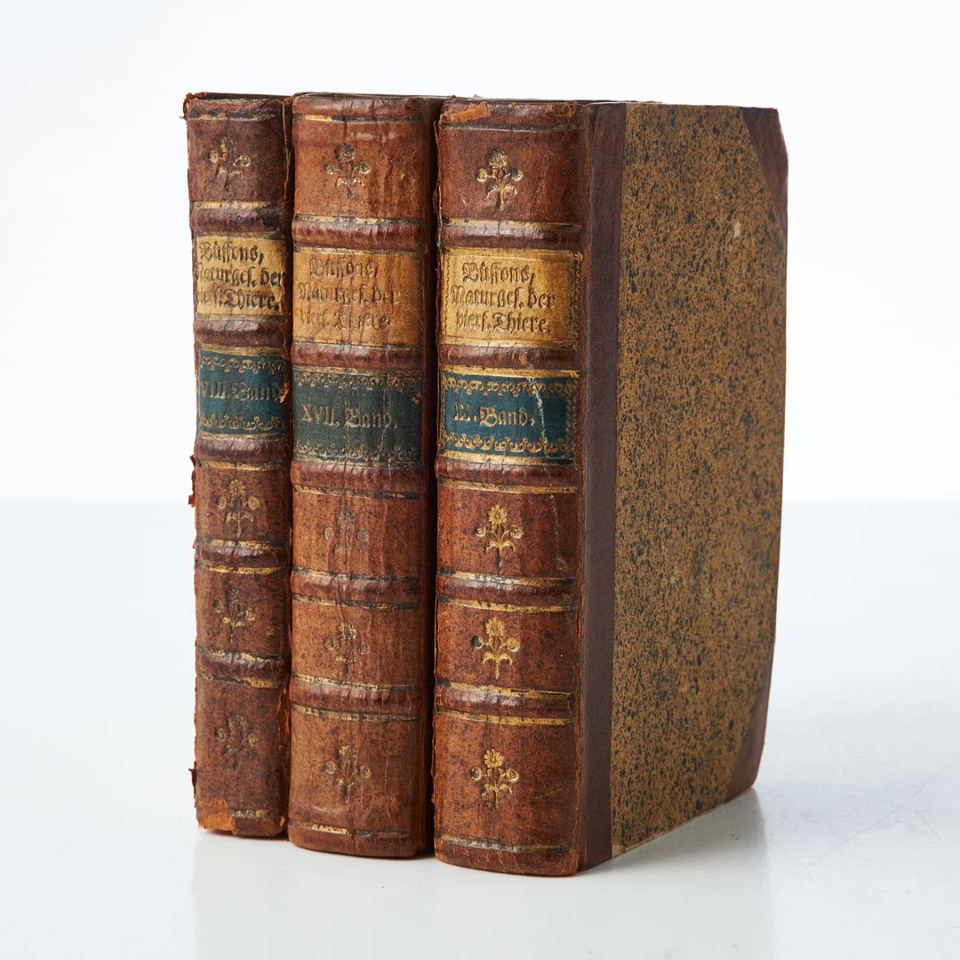 Buffon med zoologiska planscher, 3 vol. — Books — Stockholms Auktionsverk Magasin 5
