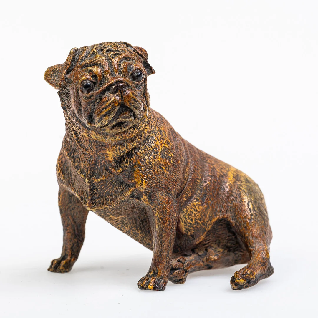 AUSTRIAN COLD PAINTED BRONZE SCULPTURE OF A PUG. — Sculptures & Bronzes — Griffin’s Auctioneers