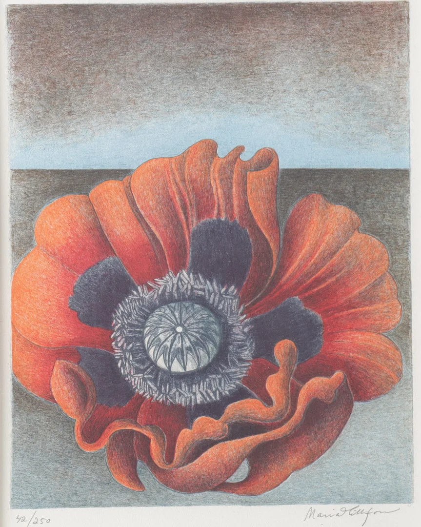 MARIA HILLFON. litografi, signerad & numrerad 42/250. — Engravings & Prints — Gomér & Andersson Nyköping