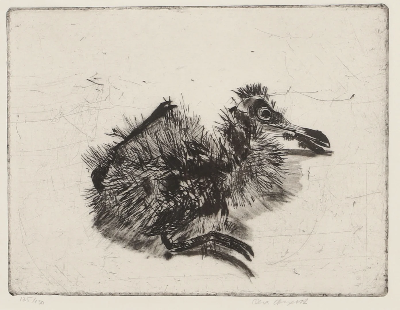 LENA CRONQVIST. "Fågelunge", etsning, signerad. — Engravings & Prints — Helsingborgs Auktionskammare
