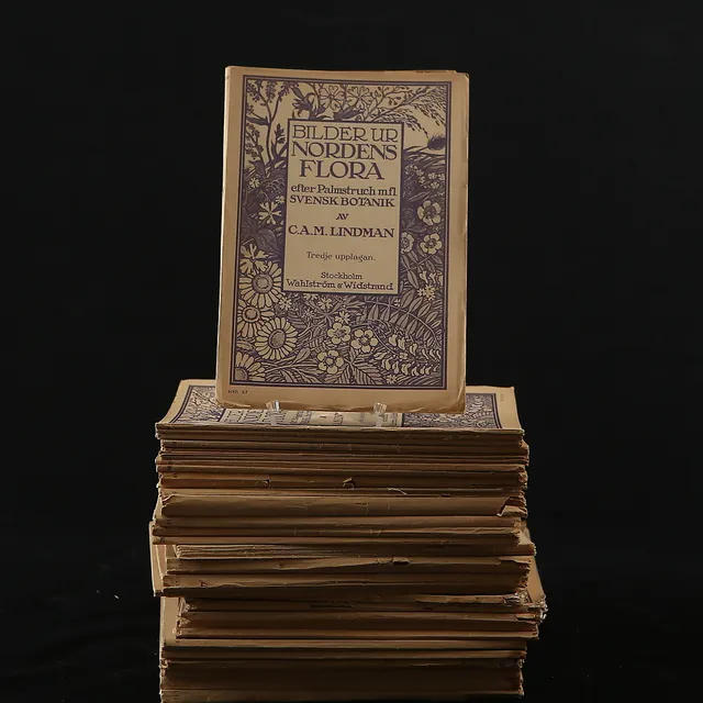 C.A.M. LINDMAN, "Bilder ur Nordens Flora", 3:e upplagan, Häfte 1 - 41.