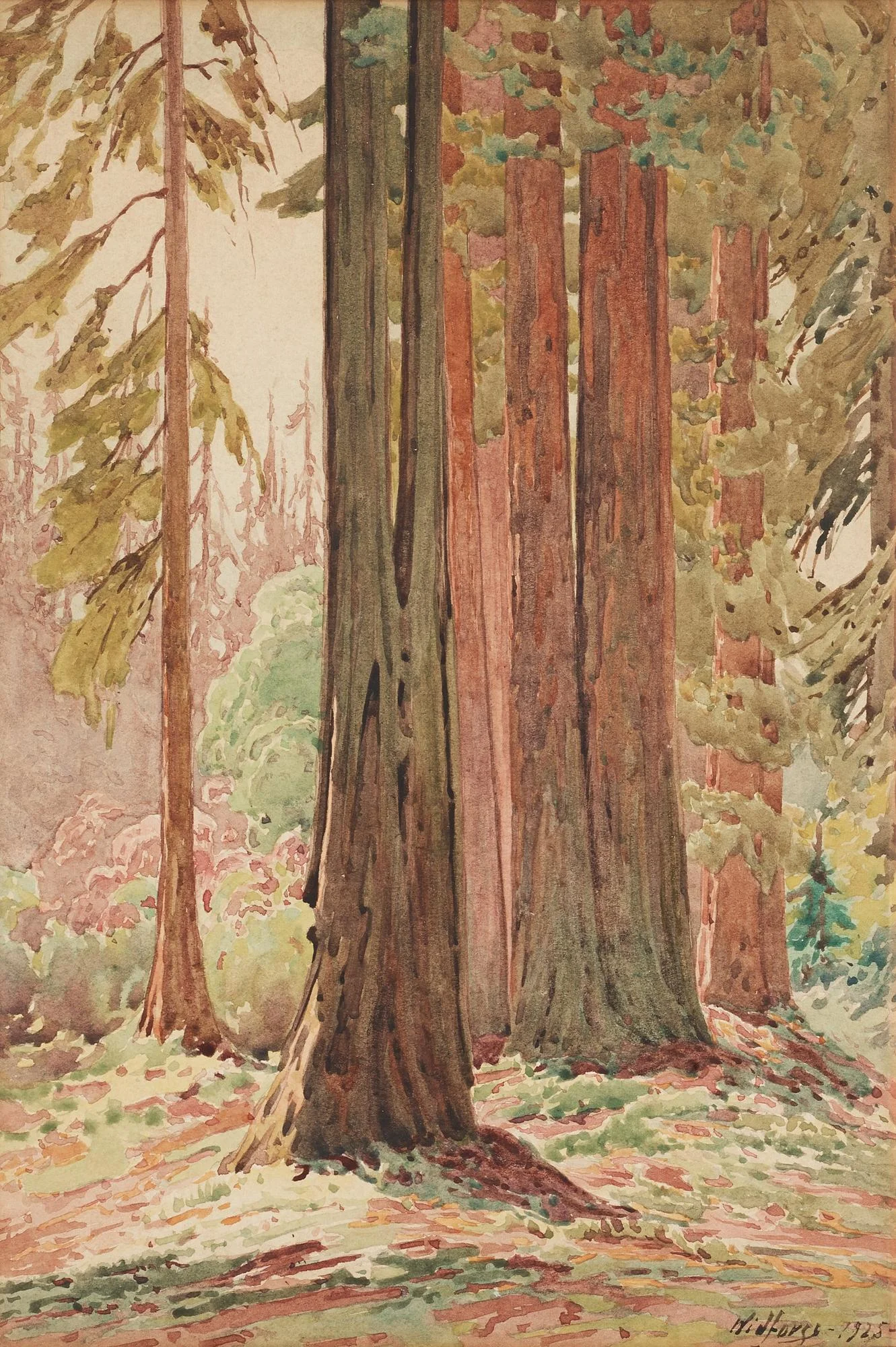 Gunnar Widforss, Träd, Yosemite Valley. — Bukowskis