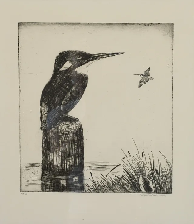 GÖRAN BRUNIUS. Fåglar, etsning, signerad, numrerad 46/260.