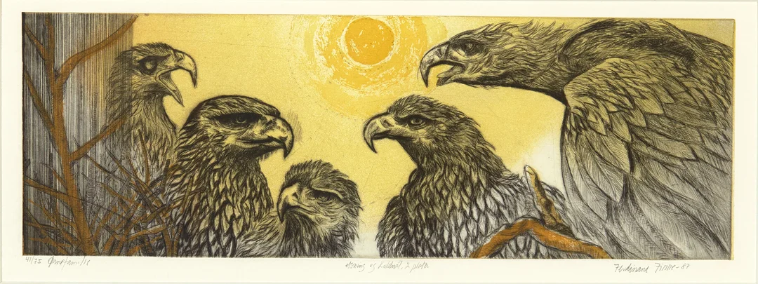 Finne, Ferdinand — "Ørnefamilie" 1987 — Kunst/Grafikk — Blomqvist