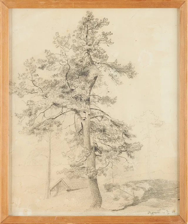ALFRED WAHLBERG. Teckning, blyerts, original, 1862 från Nykvarn.