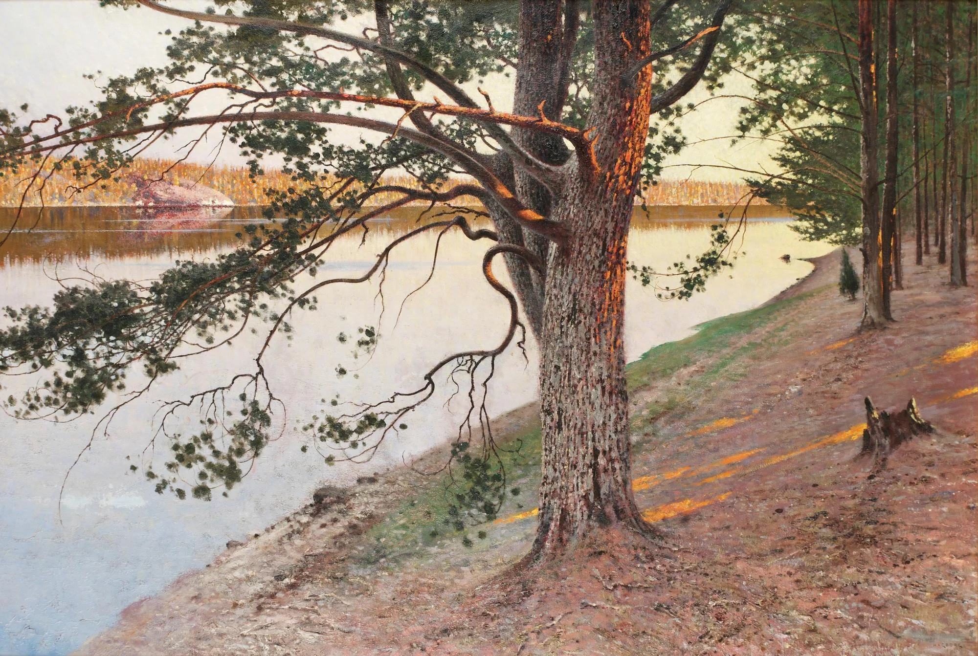 August Hagborg, Aftonrodnad på tall i skärgården. — Bukowskis