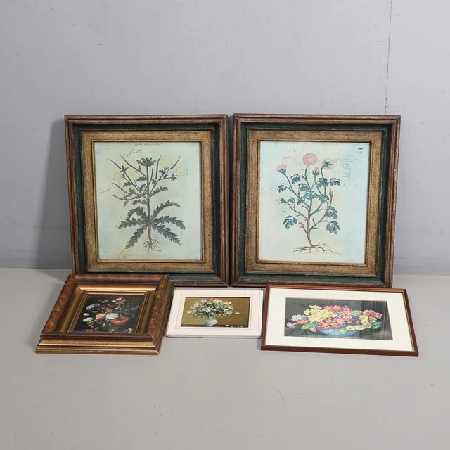 A GROUP OF MODERN FLORAL/PLANT PICTURES.