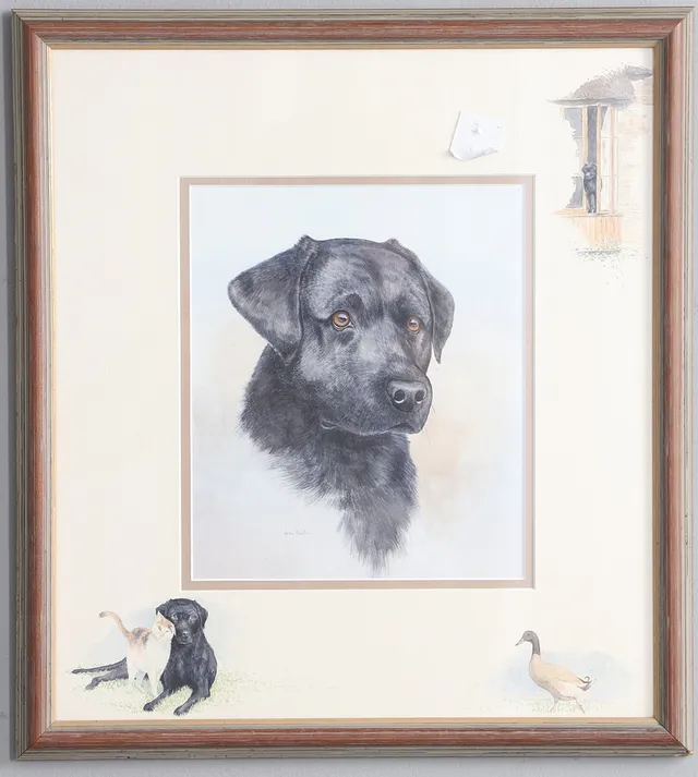 JOHN HORTON (CONTEMPORARY). STUDY OF A LABRADOR.