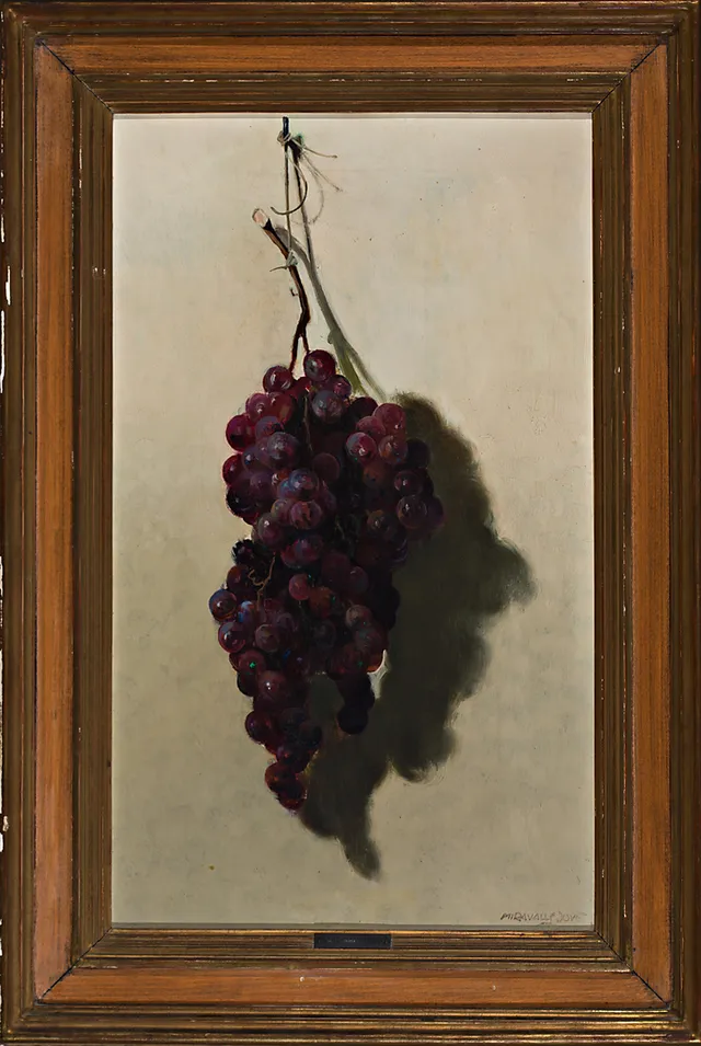 ARMAND MIRAVALLS BOVÉ. Bunch of grapes.