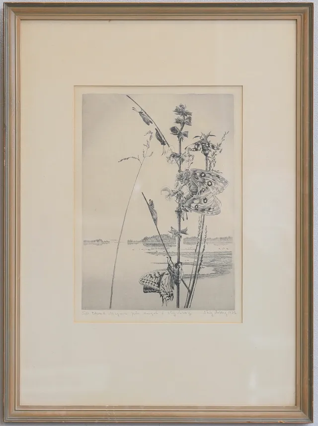 STIG ÅSBERG. Etsning, Insekter på strå, signerad och daterad 1952.