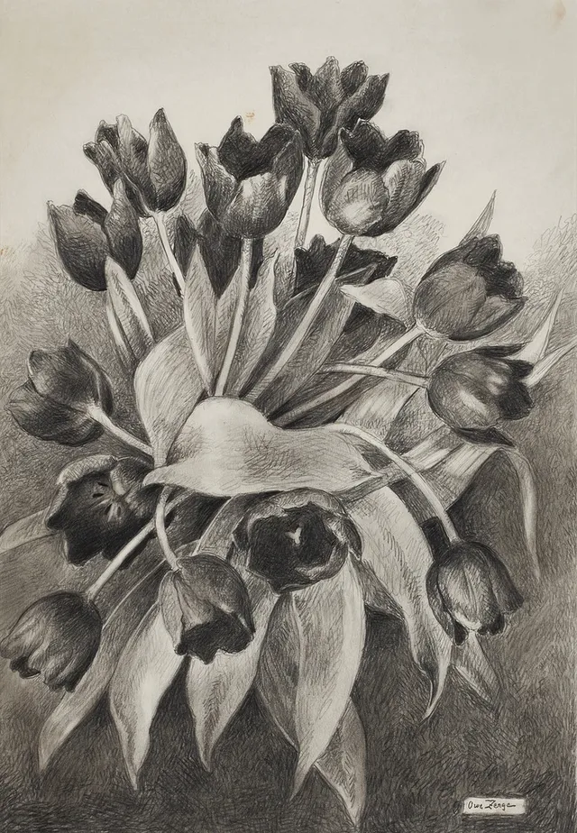 OWE ZERGE (1894-1983), Tulpaner, signerad, blyerts.