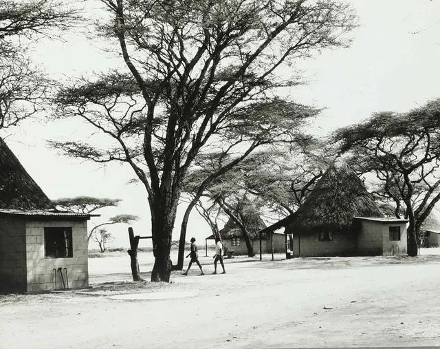 SVEN GILLSÄTER (1921-2001). fotografi, Tsavo East nationalpark, Kenya, signerad a tergo, 1900-talets mitt.