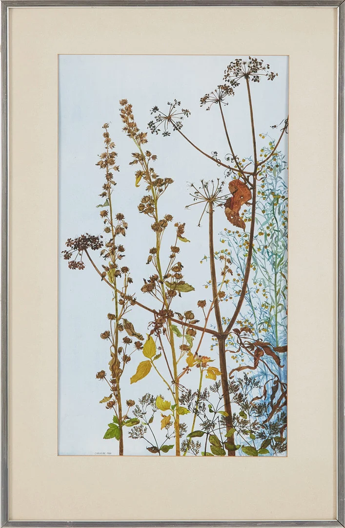 CARIN AX (1915-2006). Höstväxter, akvarell, signerad, daterad 1986. — Paintings — Stockholms Auktionsverk Magasin 5
