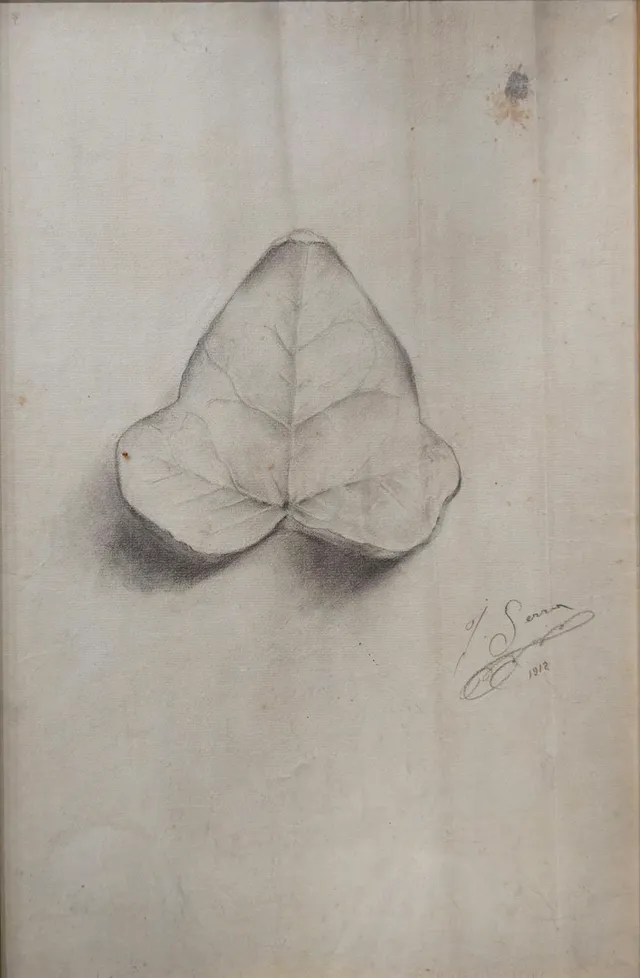 JOAN SERRA MELGOSA. hoja de plátano.