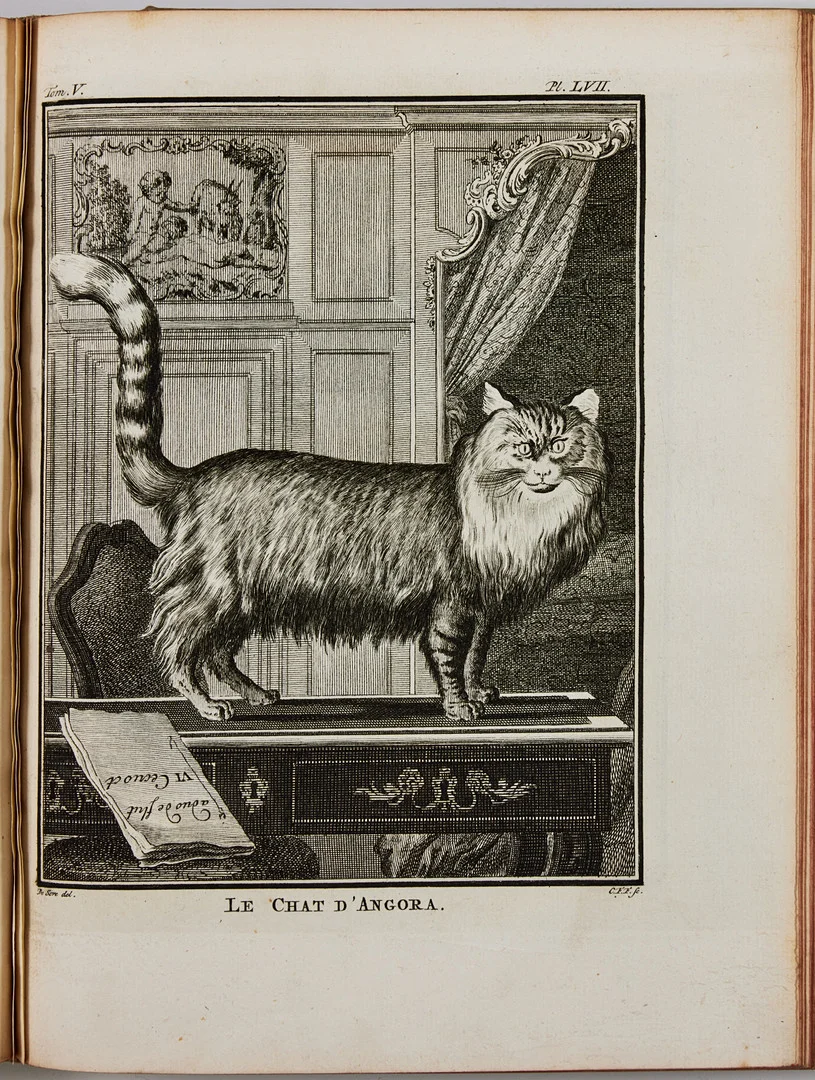 BUFFON - DAUBENTON, Histoire naturelle, 7 volumes, with ca 500 engraved plates. — Books — Stockholms Auktionsverk Fine Art