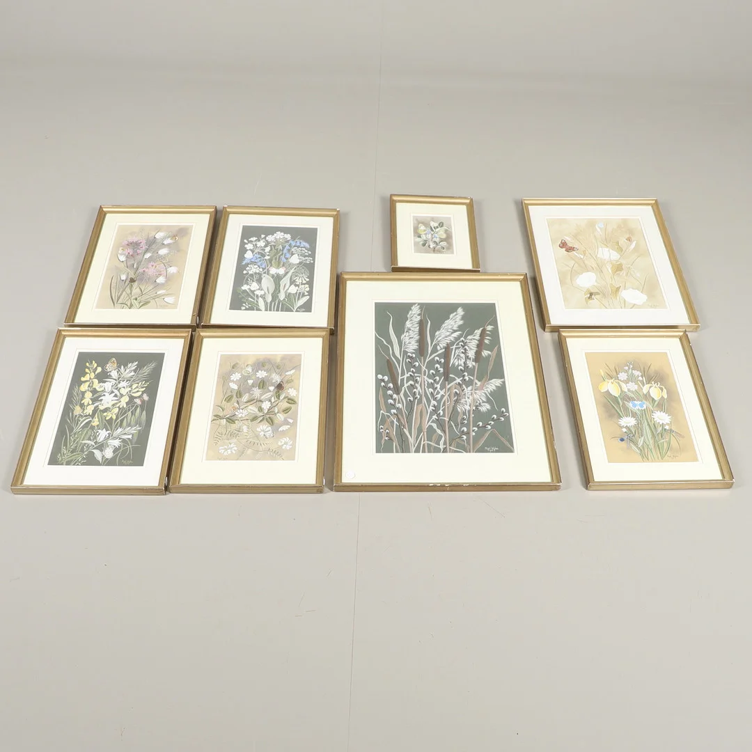 NIGEL WYKES (1906-1991). BOTANICAL STUDIES. — Drawings — Lawrences Auctioneers