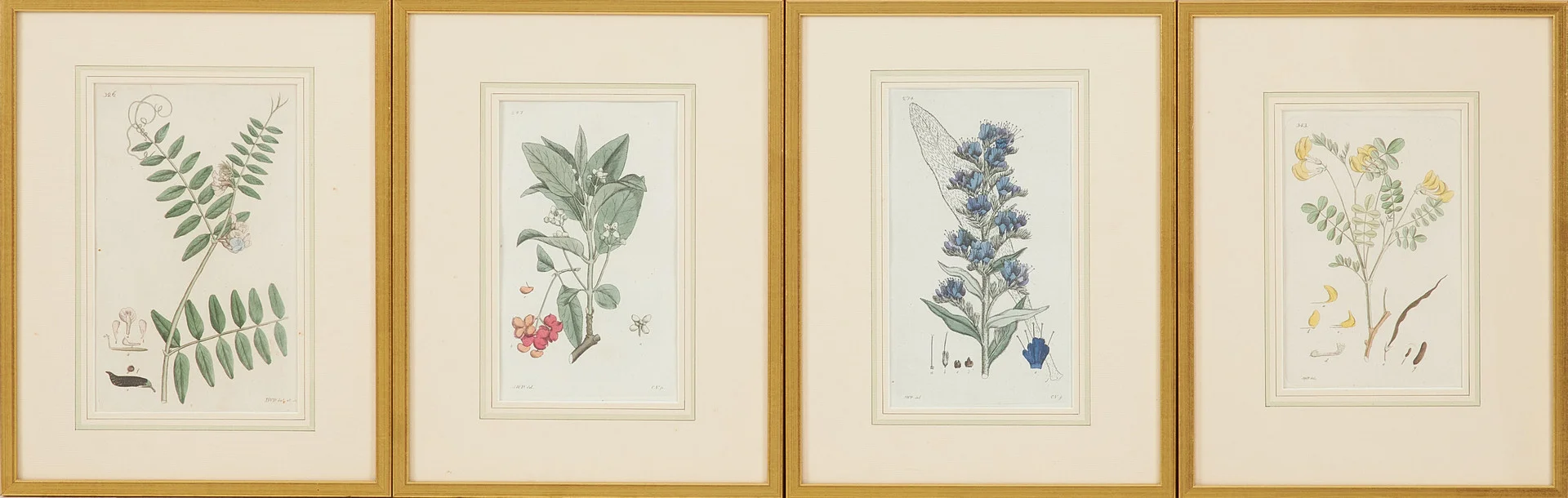 PLANSCHER, 4 st., handkolorerade gravyrer, 1800-tal, ur Svensk Botanik, Johan Wilhelm Palmstruch. — Engravings & Prints — Stockholms Auktionsverk Sickla