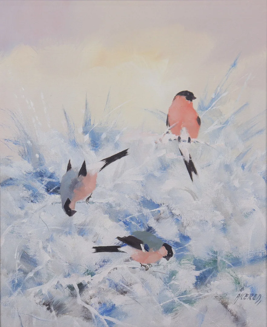 PER ÅKERED. olja på duk, domherrar. — Paintings — Markus Auktioner