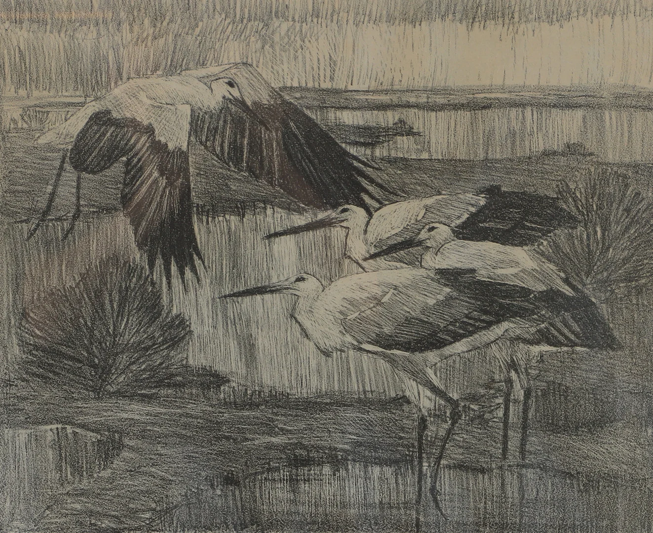 ERNST NORLIND. Storkar, litografi, signerad E. Nordlin. — Engravings & Prints — Helsingborgs Auktionskammare