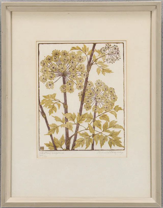 ANNIE BERGMAN (1889-1987). "Höstlig Angelica".
