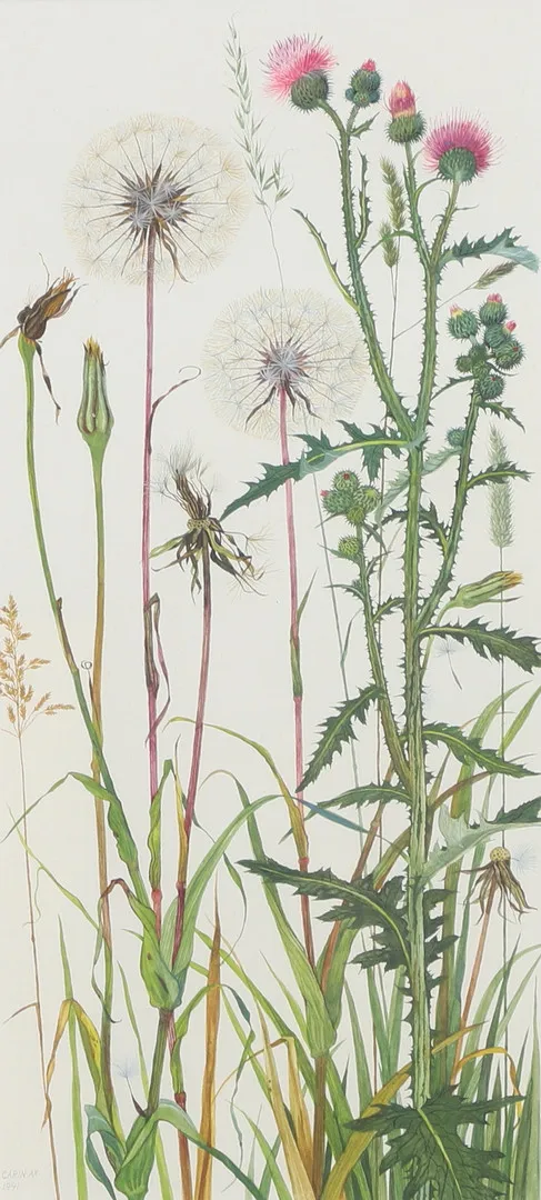 CARIN AX. Akvarell, blommor, signerad, daterad 1991.