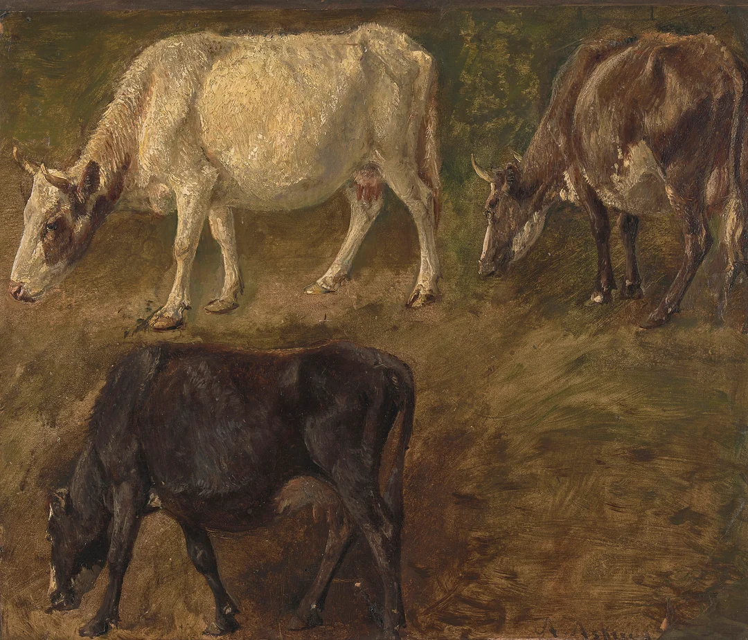 Askevold, Anders — Studie av kyr — Kunst/Maleri — Blomqvist