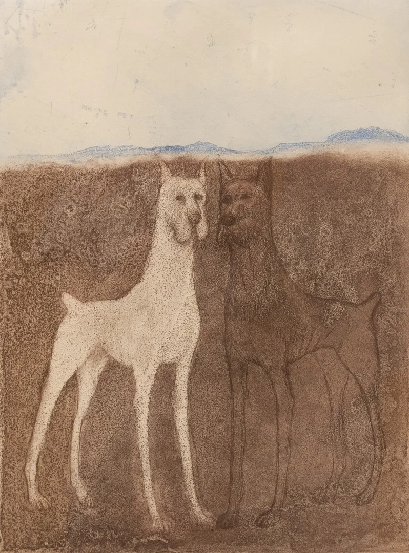 SUZANNE NESSIM. HUNDAR, FÄRGETSNING. — Engravings & Prints — Björnssons Auktionskammare