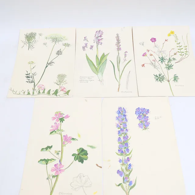STINA SUNESSON. Motiv med blomster, blandtekniker, osignerade.