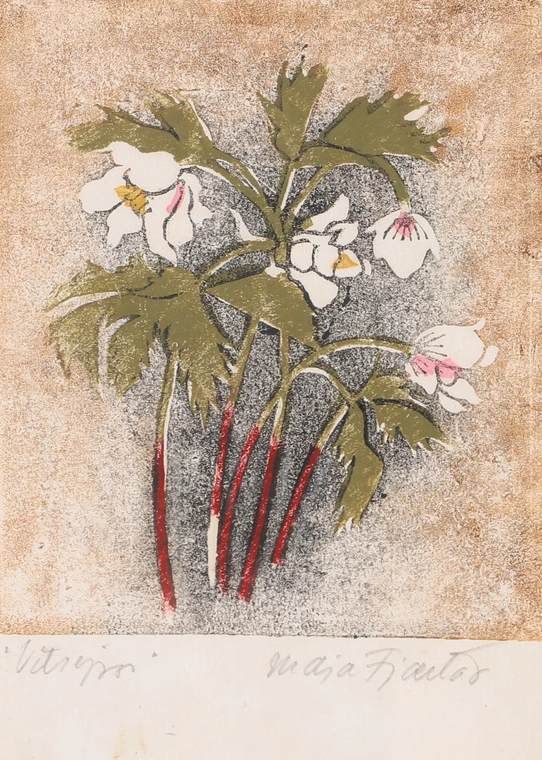 MAJA FJAESTAD. "Vitsippa", träsnitt, signerad. — Engravings & Prints — Helsingborgs Auktionskammare