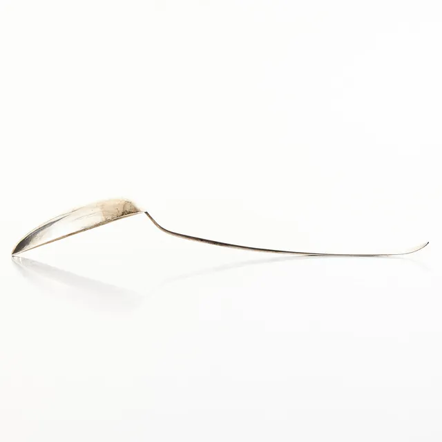 RAGUSKED, silver, Danmark, N H Wendelboe Aarhus 1900, probör Simon Groth.